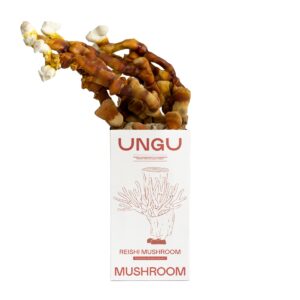 UNGU Reishi Mushroom Grow Kit – size S, box for storage and freshness.