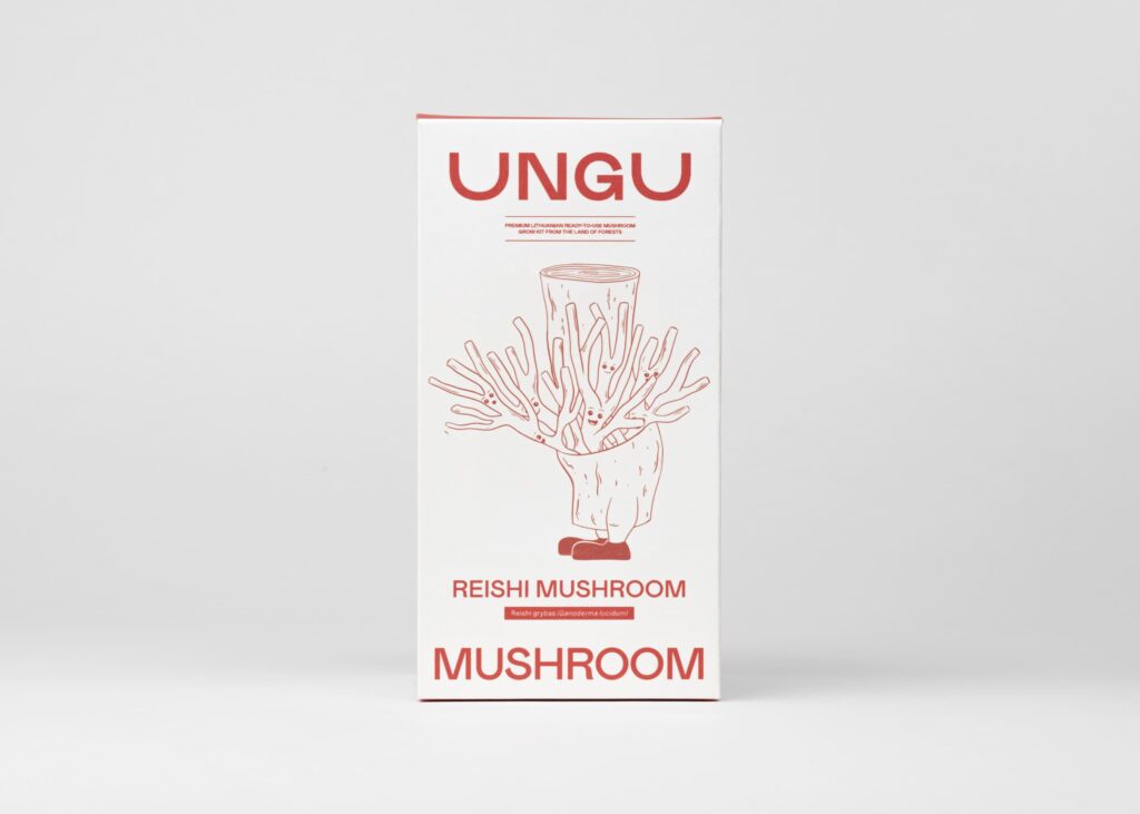 Reishi Mushroom Grow Kit | Size S - Image 4