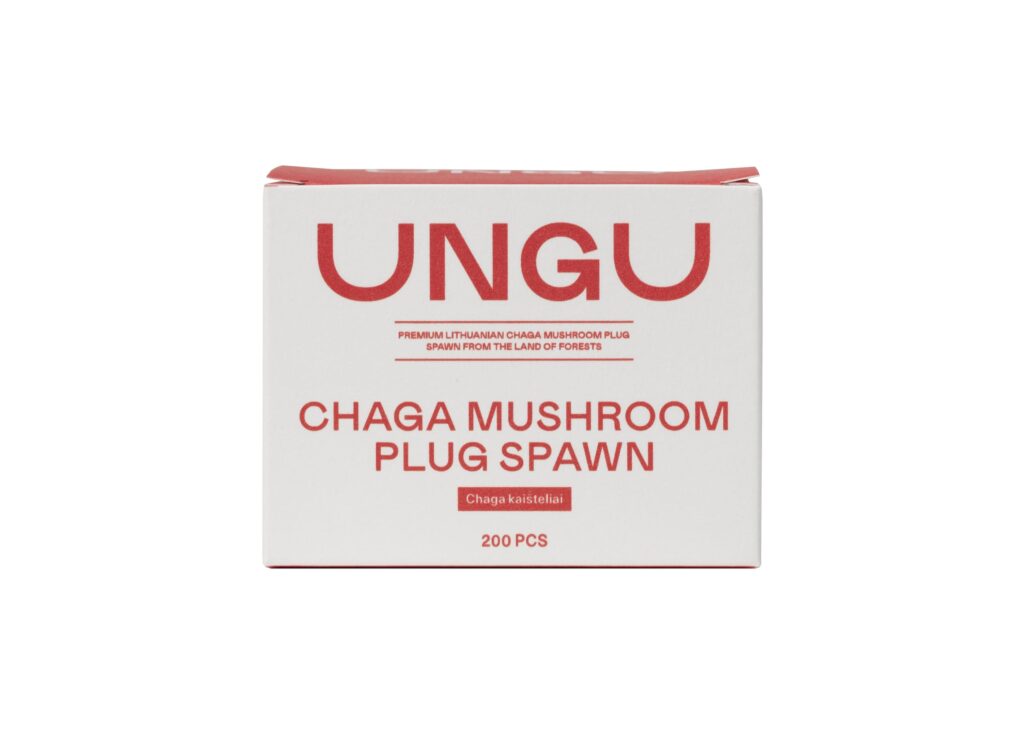 Chaga Plug Spawn, 200 pieces - Image 2