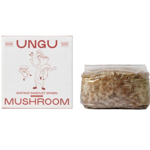 Shiitake Mushroom Sawdust Spawn, 1 kg