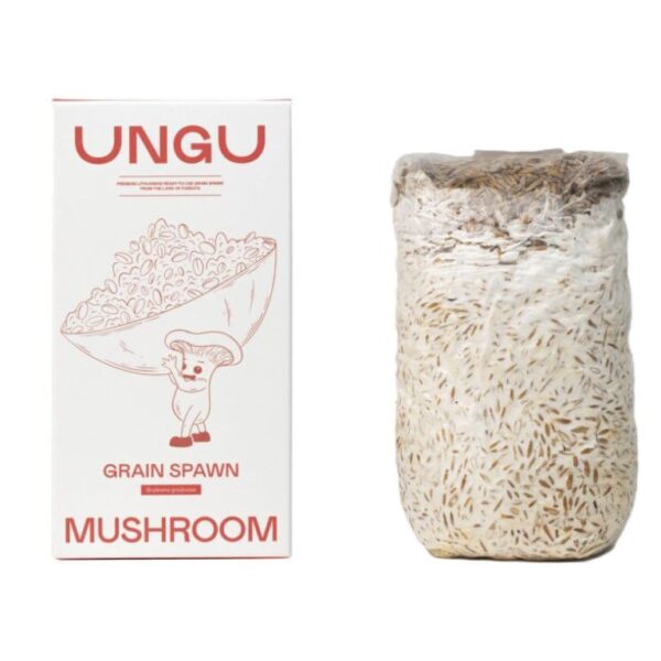 Grain Spawn, 1 kg