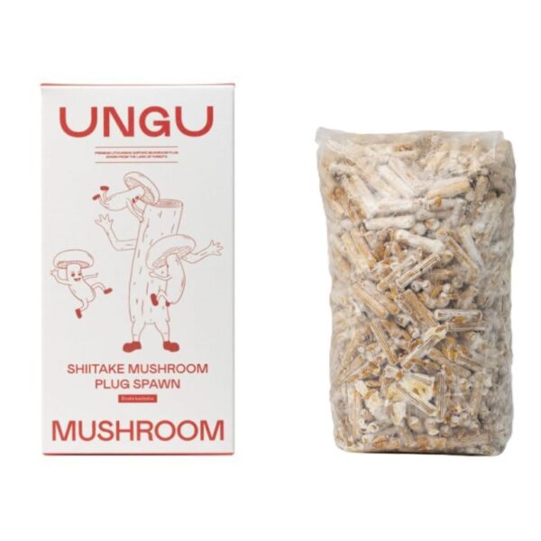 Shiitake Plug Spawn, 1000 pieces