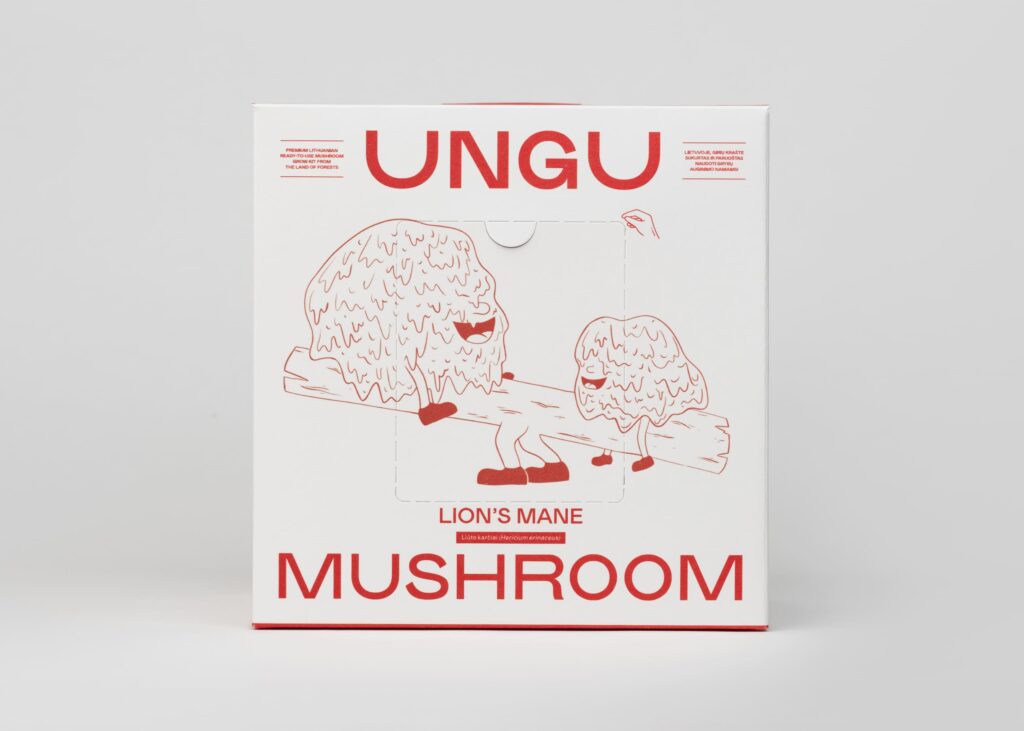 Lion’s Mane Grow Kit | Size M - Image 4