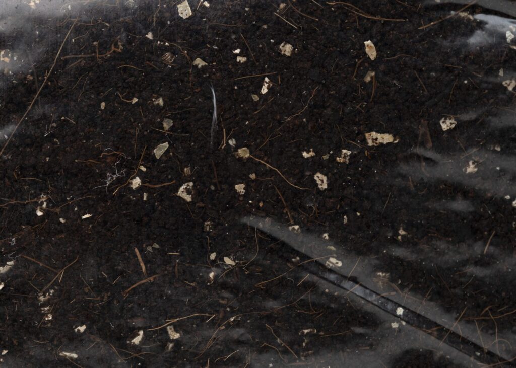 Manure Substrate, 2.5 kg - Image 3