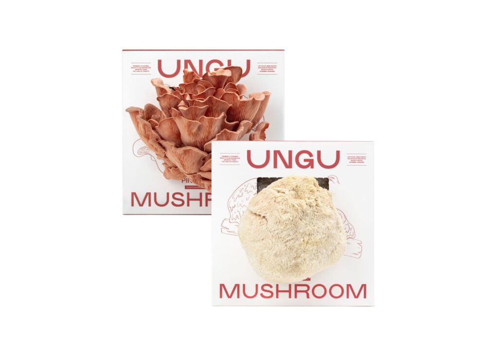 LION'S MANE & PINK OYSTER MUSHROOM GROW KITS | SIZE M - Image 2