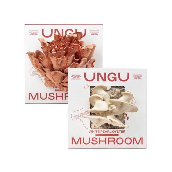 VALENTINE'S PINK OYSTER MUSHROOM GROW KITS | SIZE M