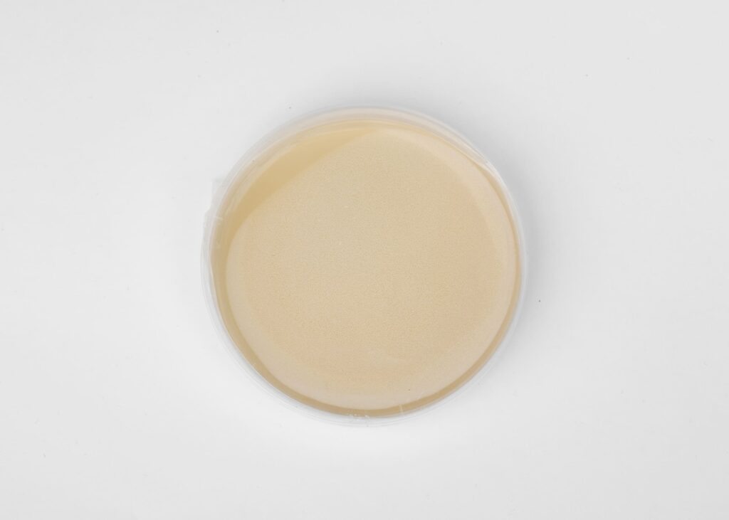 Sterile Agar Plates, 5 Pack - Image 4