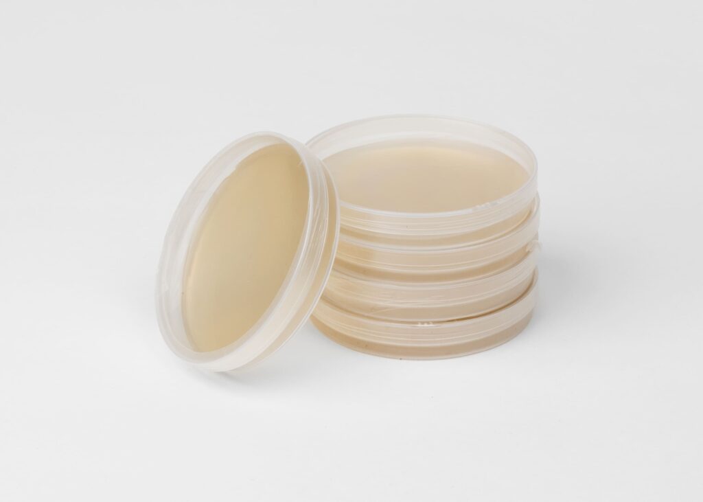 Sterile Agar Plates, 5 Pack - Image 3