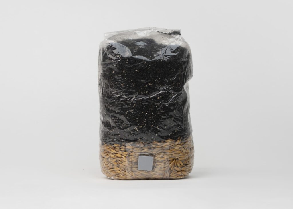Coco Coir & Manure Substrate, 1 kg - Image 4
