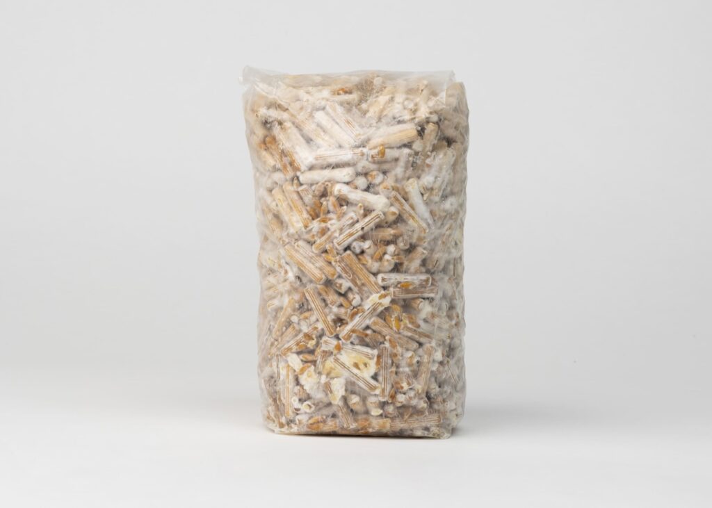 Shiitake Plug Spawn, 200 pieces - Image 4