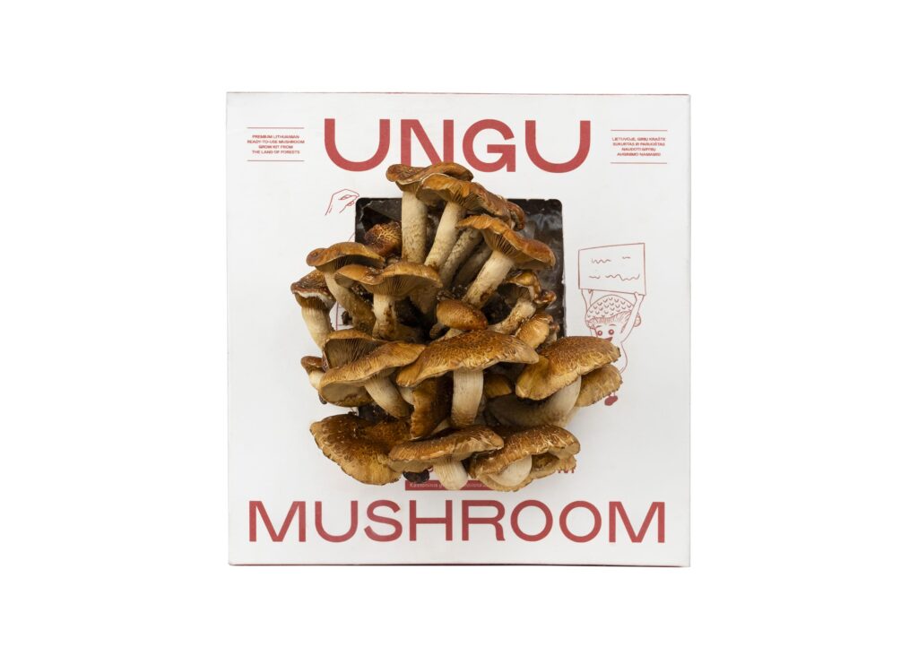 Chestnut Mushroom Grow Kit | Size M - Image 2
