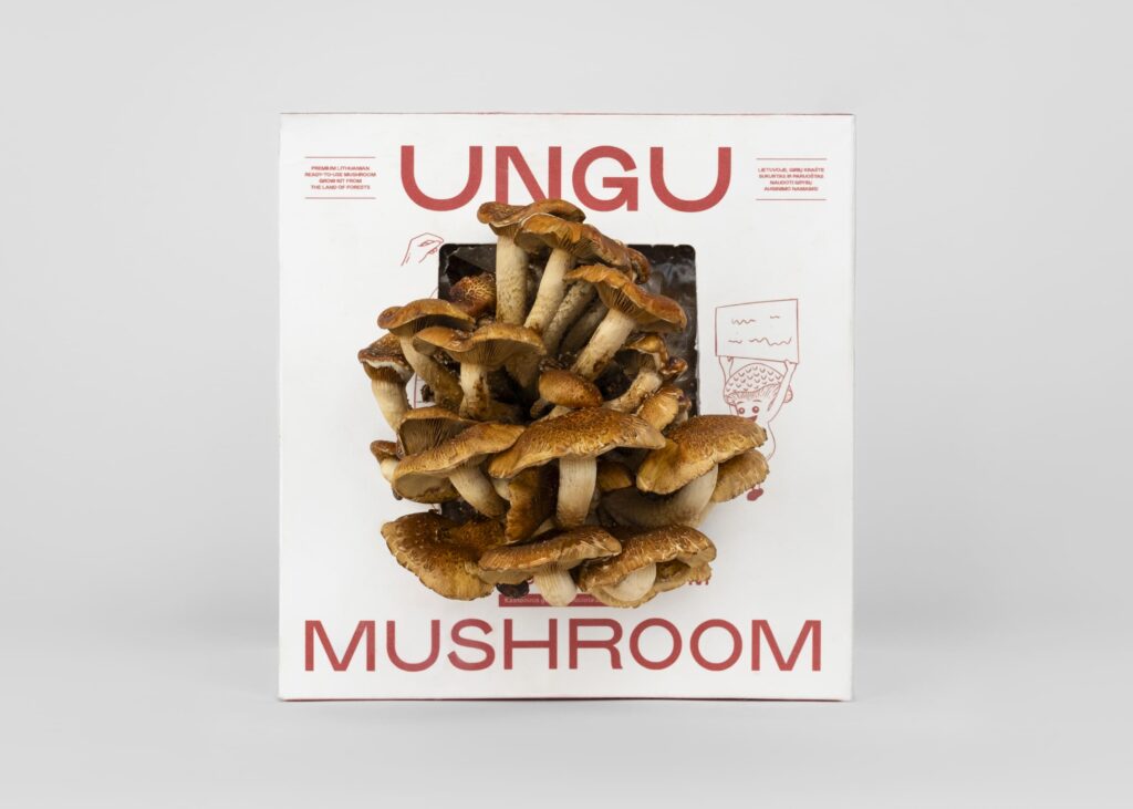 Chestnut Mushroom Grow Kit | Size M - Image 5