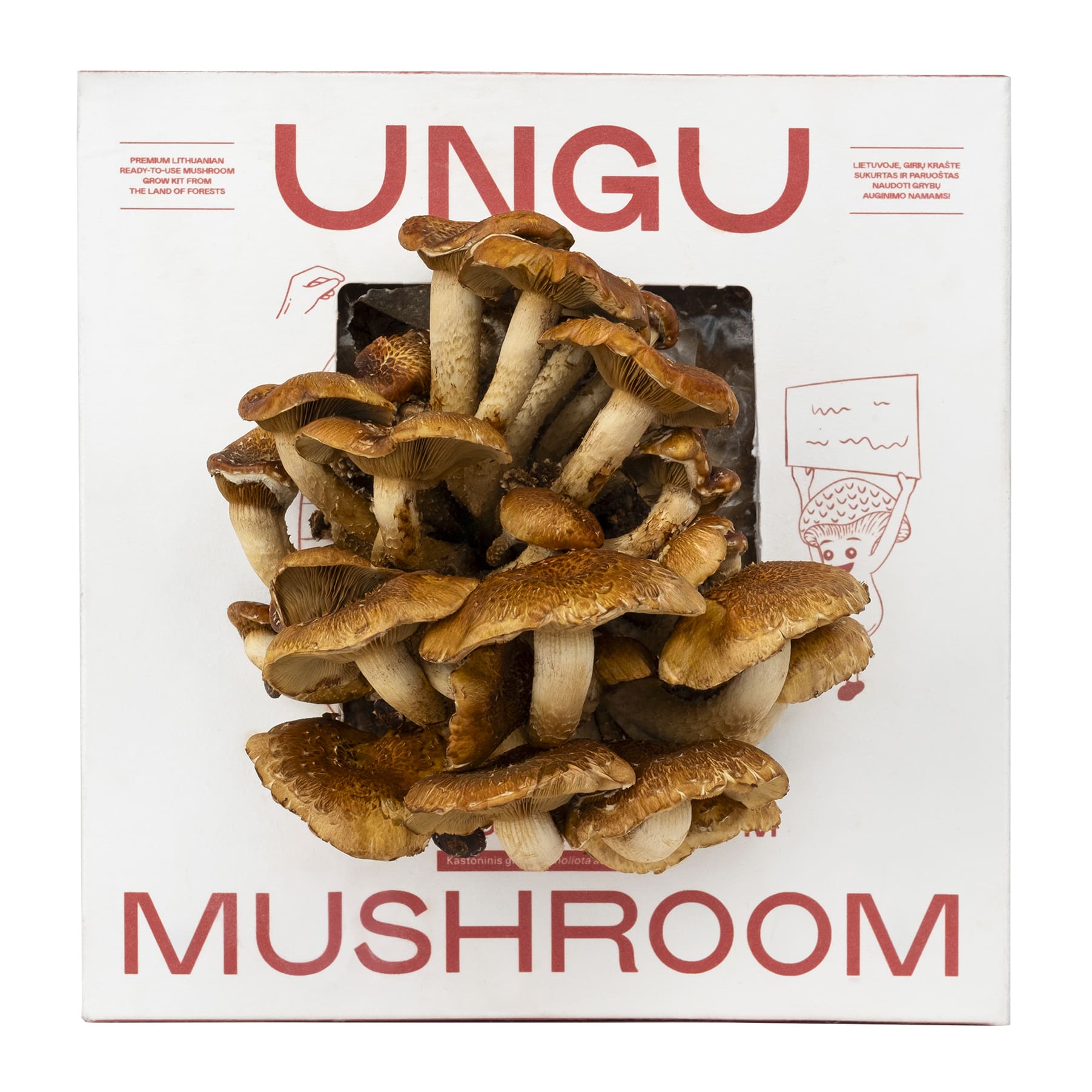 mushroomページ Chestnut Mushroom Grow Kit | Size M - UNGU