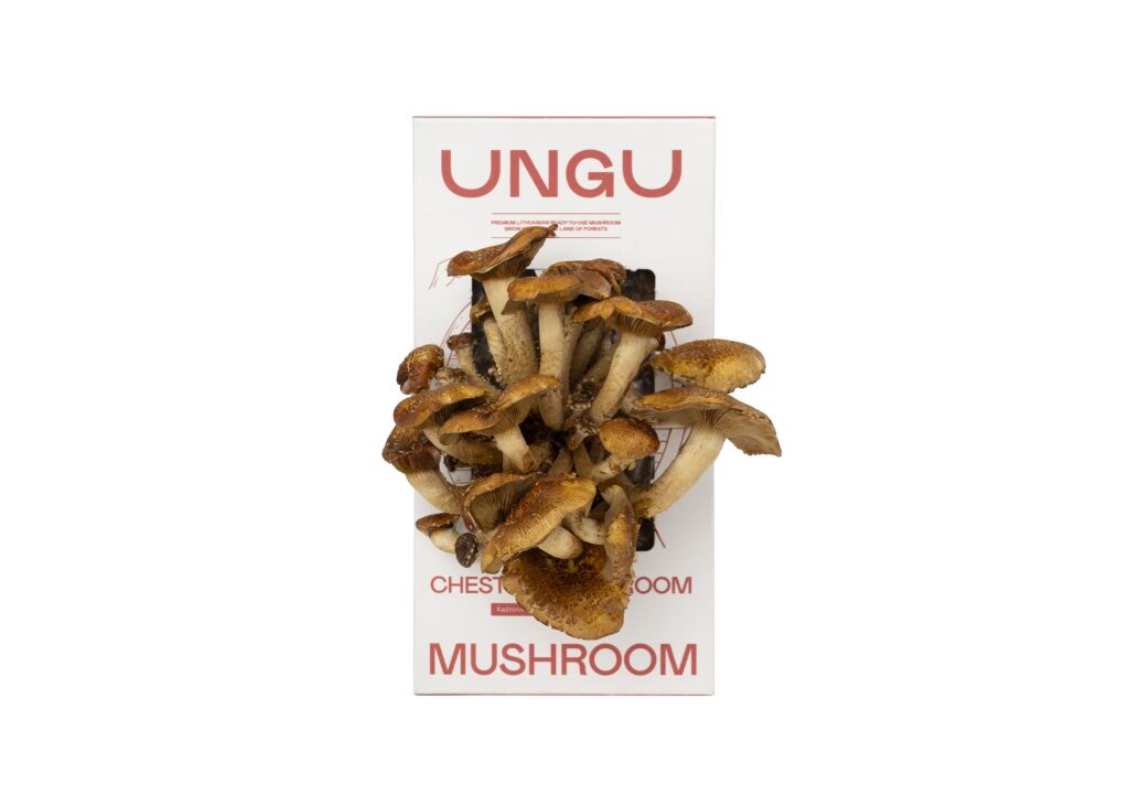 Chestnut Mushroom Grow Kit | Size S - Image 2
