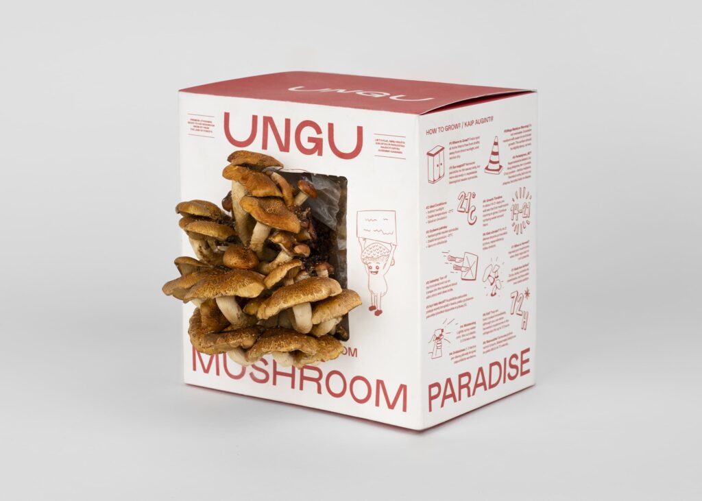 Chestnut Mushroom Grow Kit | Size M - Image 3